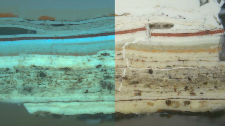 pcoi+cross+section.jpg