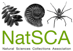 natsca_logo_green.png