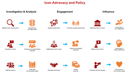 infographicpolicyimpacts_2019.png