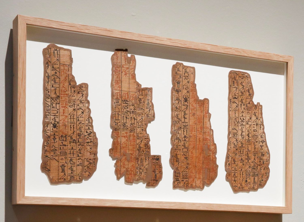 Funerary papyri on display in the exhibition 